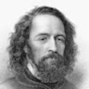 Meet your Posher, Samuel